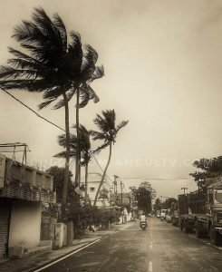 Read more about the article କୋହଲା ପାଗ, ଥରାଉଛି ଶୀତ