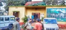 ବାଉଁଶ ଚାରା ରୋପଣରେ ଅନିୟମିତତା