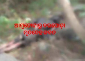 Read more about the article ଗୋପୀନାଥପୁର ଆମ୍ବତୋଟାରୁ ଦରପୋଡ଼ା ମୃତଦେହ ଜବତ