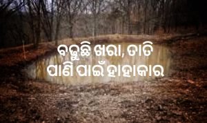 Read more about the article ବଢୁଛି ଖରା, ତାତି