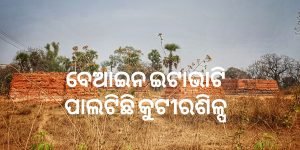 Read more about the article ବେଆଇନ ଇଟାଭାଟି ପାଲଟିଛି କୁଟୀରଶିଳ୍ପ
