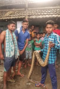 Read more about the article କୂଅରୁ ୧୦ ଫୁଟର ଅଜଗର ଉଦ୍ଧାର