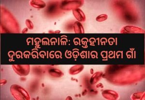 Read more about the article ମହୁଲନାଳି: ରକ୍ତହୀନତା ଦୂର କରିବାରେ ଓଡ଼ିଶାର ପ୍ରଥମ ଗାଁ