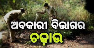 Read more about the article ଅବକାରୀ ଚଢ଼ଉ, ଜଣେ ଗିରଫ