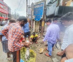 Read more about the article ଲଗାଣ ବର୍ଷାର ପ୍ରଭାବ: ମାଛ କିଲୋ ୮୦