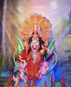 Read more about the article ଧରାବତରଣ କଲେ ଧନଦାତ୍ରୀ