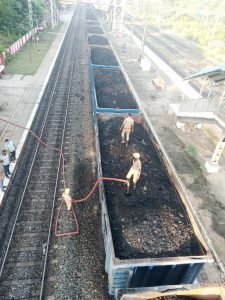 Read more about the article କୋଇଲା ବୋଝେଇ ବଗିରେ ନିଆଁ