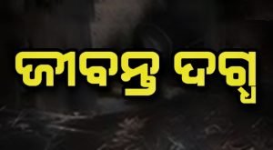Read more about the article ପୋଡି ହୋଇ ଭିନ୍ନକ୍ଷମ ଜୀବନ୍ତ ଦଗ୍ଧ