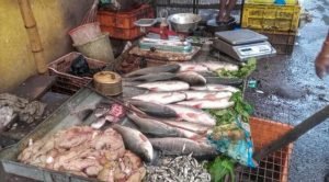 Read more about the article ଆଜି ଜମିଲା ଅସଲ ଛାଡଖାଇ ବେପାର