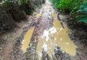 Read more about the article ନିମ୍ନମାନର ରାସ୍ତା କାର୍ଯ୍ୟ ନେଇ ଜନ ଅସନ୍ତୋଷ