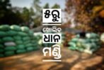 ବୁଧବର ଖୋଲିବ ଧାନ ମଣ୍ଡି