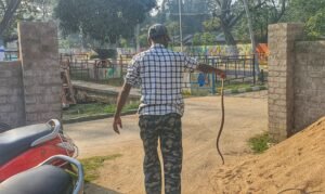 Read more about the article ହୋଟେଲରୁ ସାପ ଉଦ୍ଧାର କଲେ ଆଦିତ୍ୟ