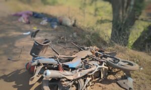 Read more about the article ବାଇକ ଉପରେ ଚଢ଼ିଗଲା ଟ୍ରକ, ବାପା-ଝିଅ ମୃତ