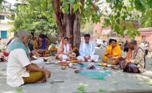 Read more about the article ସିଭିଲ କୋର୍ଟ ନିକଟରେ ବର-ଅଶ୍ୱତ୍ଥ ବିବାହ