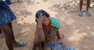କେନ୍ଦୁପତ୍ର ତୋଳିବାକୁ ଯାଇଥିବା ବେଳେ ହାତୀ ଆକ୍ରମଣ, ୨ ମହିଳା ଗୁରୁତର