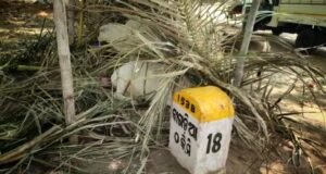 Read more about the article ଜଳଛତ୍ର ଛିନଛତ୍ର: କୋଉଠି ମାଠିଆ ଗଡୁଛି ତ ଆଉ କୋଉଠି ଗାଈ ଭାଙ୍ଗିଦେଲେଣି କୁଡ଼ିଆ