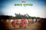 ଆଜି ଅକ୍ଷୟ ତୃତୀୟାରେ ଅକ୍ଷି ମୁଠି ବୁଣି ଚାଷ କାର୍ଯ୍ୟ ଆରମ୍ଭ କରିବେ କୃଷକ, ଜାଣନ୍ତୁ ଏହି ଦିନ ପାଳନର ମହତ୍ୱ