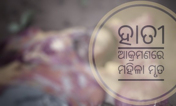 You are currently viewing ଶୌଚ ହେବାକୁ ଯାଇଥିବା ମହିଳାଙ୍କୁ ହାତୀ ଆକ୍ରମଣ, ଘଟଣାସ୍ଥଳରେ ଚାଲିଗଲା ଜୀବନ