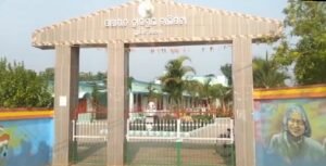 Read more about the article ବାଲିପଟ୍ଟା ସରକାରୀ ଉଚ୍ଚ ବିଦ୍ୟାଳୟର ସୁବର୍ଣ୍ଣ ଜୟନ୍ତୀ ପ୍ରସ୍ତୁତି