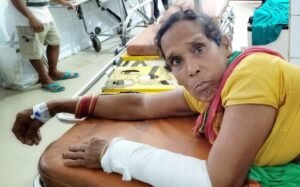 Read more about the article ଭାଲୁ ସଙ୍ଗେ ଲଢି ସ୍ବାମୀ, ସ୍ତ୍ରୀକୁ ବଞ୍ଚାଇଲେ