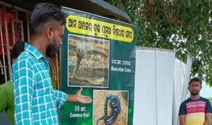 Read more about the article ସାପ ସଚେତନତା କର୍ମଶାଳା : ସାପ କାମୁଡ଼ିଲେ ଗୁଣିଆ ନିକଟକୁ ନ ଯାଇ ଡାକ୍ତରଖାନା ଯିବାକୁ ପରାମର୍ଶ ଦେଲେ ସର୍ପମିତ୍ର