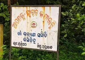 Read more about the article କସିଡିହ ଗାଁରେ ୫ ଦିନ ହେଲା ନାହିଁ ବିଜୁଳି, ଅନ୍ଧାରରେ ପୂରା ଅଞ୍ଚଳ