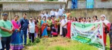 ବିଜେଡିର ୨୫ ବର୍ଷ ପୂର୍ତ୍ତି: ବୃକ୍ଷରୋପଣ କଲା ବିଜୁ ମହିଳା ଜନତା ଦଳ