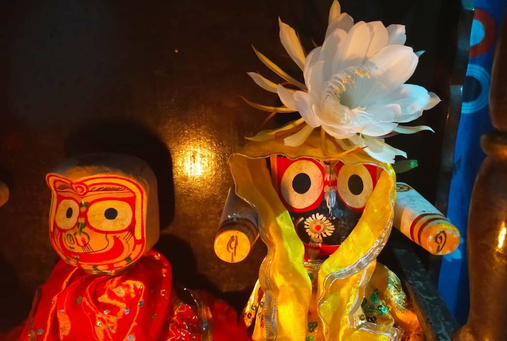 You are currently viewing ତୁରଙ୍ଗରେ ଫୁଟିଲା ବ୍ରହ୍ମ କମଳ