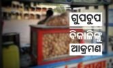 ମଦ୍ୟପ ଆକ୍ରମଣରେ ଗୁପଚୁପ ବିକାଳି ଆହତ