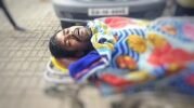 ବାର୍‌ହା ଆକ୍ରମଣରେ ଗାଈ ଚରାଳି ମୃତ