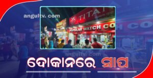 Read more about the article ସାପ ଭୟରେ ଦୋକାନୀ ହନ୍ତସନ୍ତ