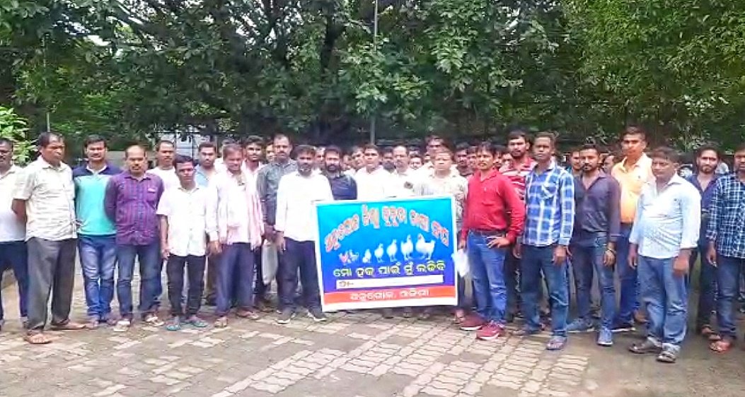 You are currently viewing ବ୍ରଏଲର କୁକୁଡ଼ା ଚାଷୀଙ୍କ ପ୍ରତି ହେଉଛି ଅହେତୁକ ଅବହେଳା, ଜିଲ୍ଲାପାଳଙ୍କୁ କଲେ ଲିଖିତ ଅଭିଯୋଗ
