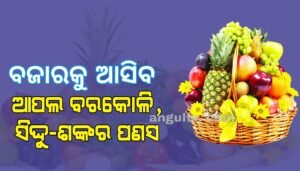Read more about the article ଅନୁଗୁଳ ଜିଲ୍ଲାରେ ଫଳଚାଷ: ବଜାରକୁ ଆସିବ ଆପଲ ବରକୋଳି, ସିଦ୍ଦୁ-ଶଙ୍କର ପଣସ