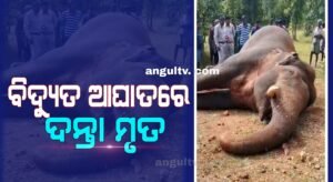 Read more about the article ବିଦ୍ୟୁତ ଆଘାତରେ ପୁଣି ଗଲା ଦନ୍ତା ଜୀବନ