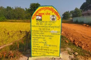 Read more about the article ମନରେଗା କାମ ମେସିନରେ କରିବାକୁ ବିରୋଧ, ଯୁବକଙ୍କୁ ମାଡ଼