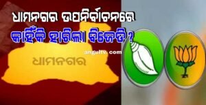Read more about the article ଧାମନଗର ଉପନିର୍ବାଚନରେ କାହିଁକି ହାରିଲା ବିଜେଡି ?