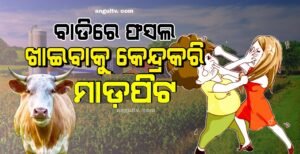 Read more about the article ବାଡ଼ିରେ ବଳଦ ପଶି ଫସଲ ଖାଇବାକୁ କେନ୍ଦ୍ରକରି ମାରପିଟ, ଇଟା ମାଡ଼ରେ ମହିଳା ଗୁରୁତର; ଜଣେ ଗିରଫ