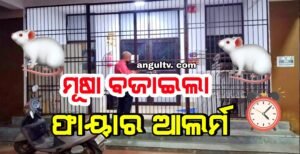 Read more about the article ମୂଷା ବଜାଇଲା ଫାୟାର ଆଲର୍ମ