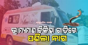 Read more about the article ଭ୍ରାମ୍ୟମାଣ ଚିକିତ୍ସା ଗାଡ଼ିରେ ପଶିଲା ନାଗ, ୨ ଘଣ୍ଟା ପରେ ଉଦ୍ଧାର କଲେ ସର୍ପମିତ୍ର