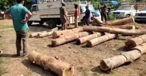 Read more about the article ଶାଗୁଆନ୍ କାଠ ବୋଝେଇ ଭ୍ୟାନ୍ ଜବତ