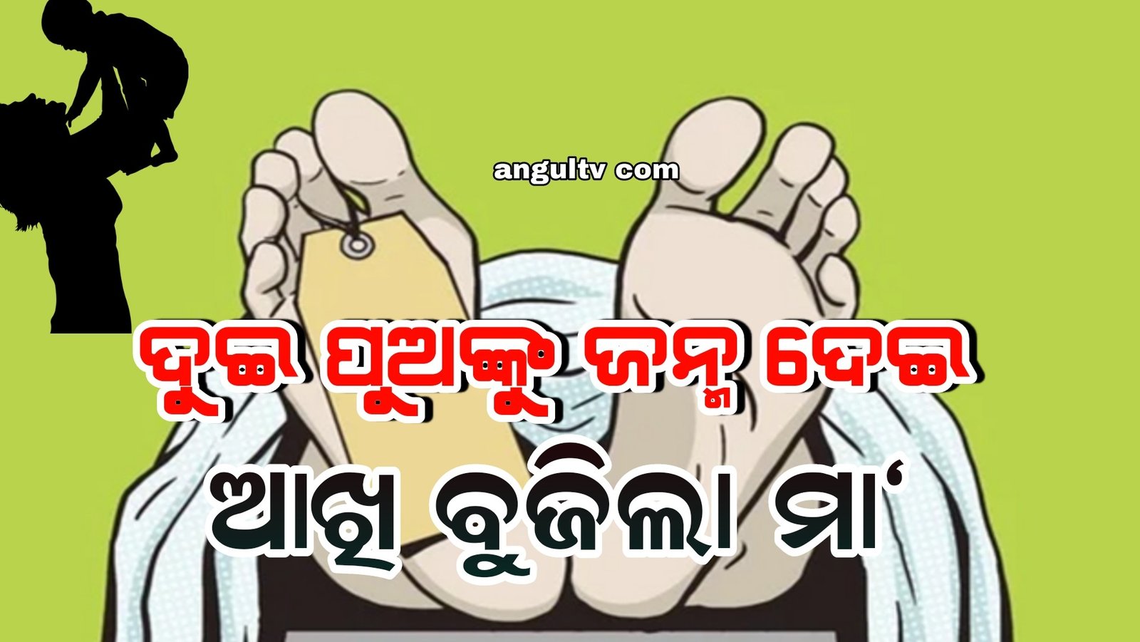 You are currently viewing ଘରୋଇ ହସ୍ପିଟାଲ ହାତ ଛାଡ଼ିଦେଲା: ଦୁଇ ପୁଅଙ୍କୁ ଜନ୍ମ ଦେଇ ଆଖି ବୁଜିଲା ମା’
