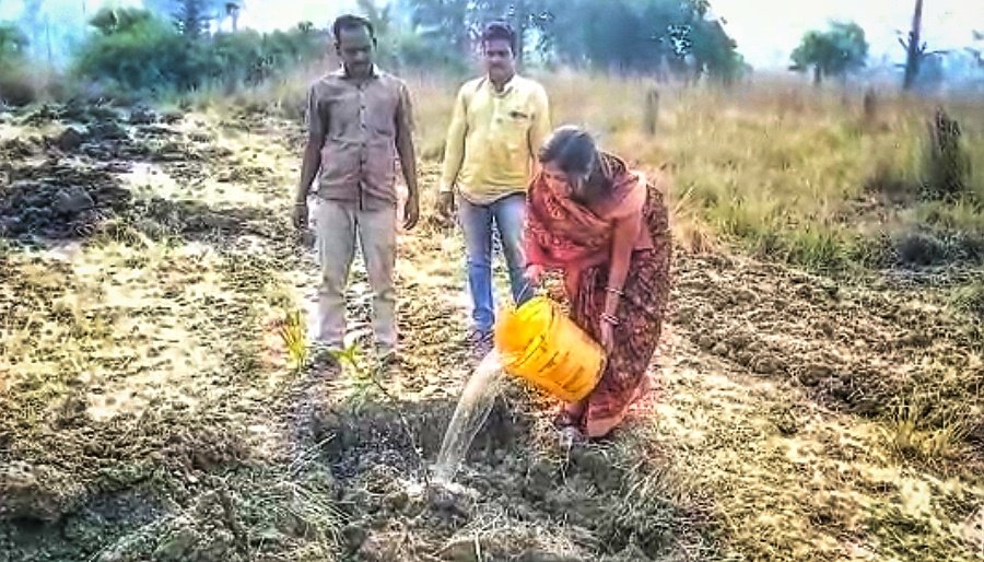 You are currently viewing ଗୋଚର ଜାଗାରେ ରାସ୍ତା ନିର୍ମାଣକୁ ବିରୋଧ କରି ବୃକ୍ଷରୋପଣ କଲେ ସରପଞ୍ଚ ଓ ଗାଁ ଲୋକ