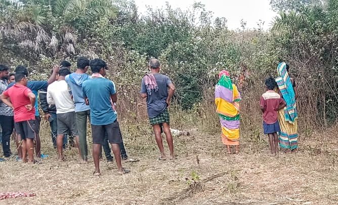You are currently viewing ହାତୀ ଆକ୍ରମଣରେ ଜଣଙ୍କର ମୃତ୍ୟୁ, ତଦନ୍ତ କରୁଛି ବନ ବିଭାଗ