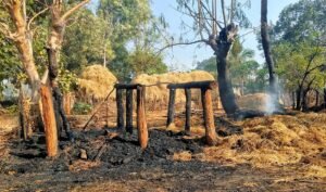 Read more about the article ଇଟା ଫ୍ୟାକ୍ଟ୍ରିରେ ପଶି ଗାଡ଼ି ଭାଙ୍ଗିବାର ପ୍ରତିଶୋଧ ନେଲେ ମାଲିକ, ରାତି ଅଧରେ ଗାଁରେ ପଶି ଜାଳିଦେଲେ ଆଠଟି ପୁଆଳ ଭାଡ଼ି; ଥାନାରେ ମାମଲା