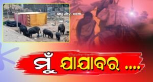 Read more about the article ମୁଁ ଯାଯାବର …..