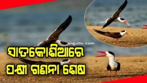 Read more about the article ସାତକୋଶିଆରେ ପକ୍ଷୀ ଗଣନା ଶେଷ, ଏ ବର୍ଷ ଆସିଛନ୍ତି ଅଧିକ ବିଦେଶୀ ଅତିଥି