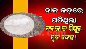 Read more about the article ଆଉଁଳି ନଦୀ ପଠାରୁ ନବଜାତକର ମୃତଦେହ ଉଦ୍ଧାର, କେହି ଜନ୍ମ ପରେ ଫିଙ୍ଗି ଦେଇଥିବା ସନ୍ଦେହ