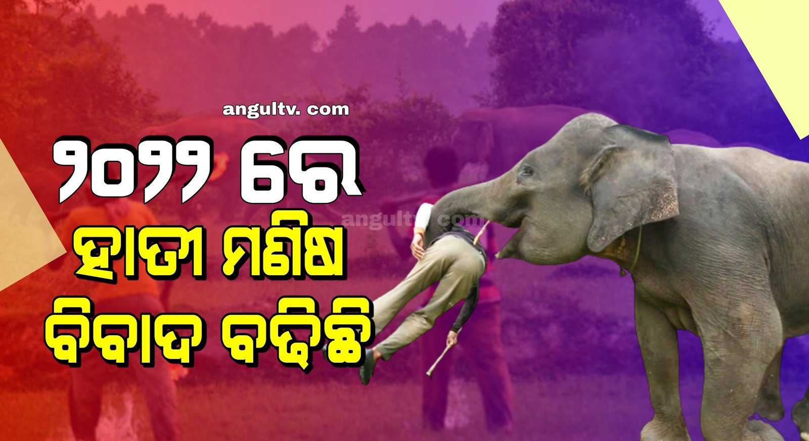 You are currently viewing ୨୦୨୨ରେ ହାତୀ ମଣିଷ ବିବାଦ ବଢିଛି