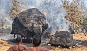 Read more about the article ହଠାତ୍ ଜଳିଗଲା ୧୦ ପାଳଗଦା, କାରଣ ଅସ୍ପଷ୍ଟ