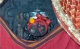 ରାତି ଅଧିଆ ବାସନ୍ତୀ ଦୁର୍ଗା ମାଧବଙ୍କ ମନ୍ଦିରରୁ ଅଳଙ୍କାର ନେଇଗଲେ ଦୁର୍ବୃତ୍ତ